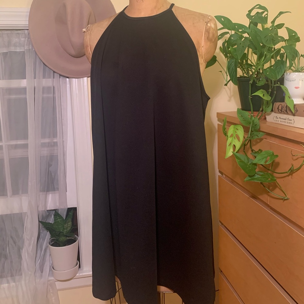 Zara Dress with high neck
